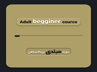 adult beginner course